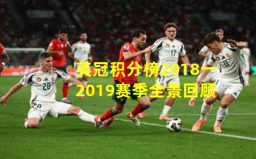 英冠积分榜2018一2019赛季全景回顾